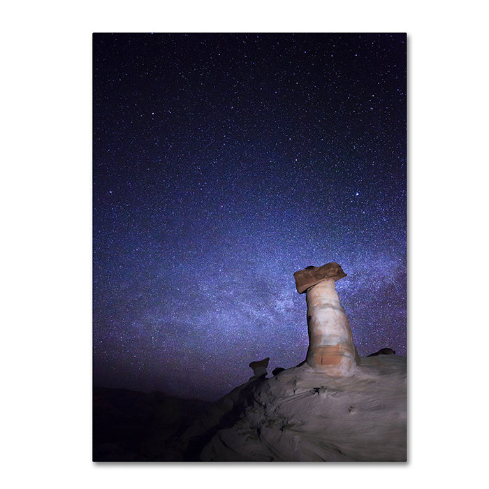 Moises Levy Starry Night in Arizona I 14 x 19 Canvas Art Image 1