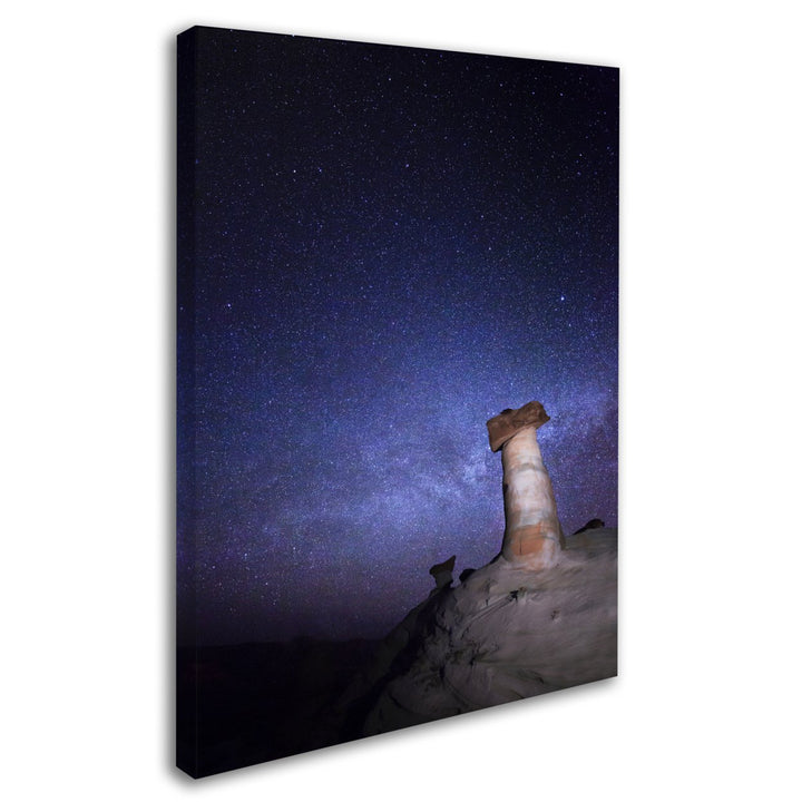 Moises Levy Starry Night in Arizona I 14 x 19 Canvas Art Image 3