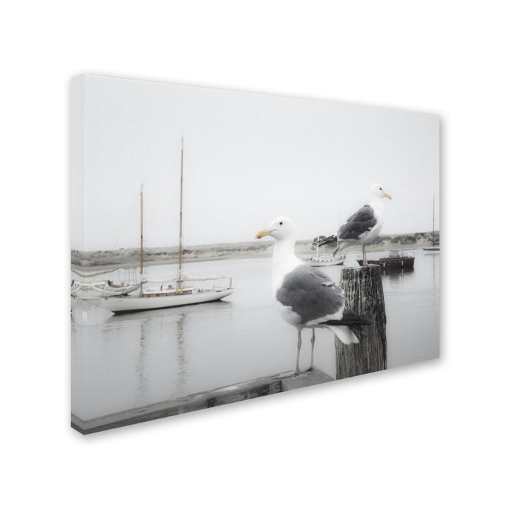 Moises Levy Two Seagulls and Boats 14 x 19 Canvas Art Image 3