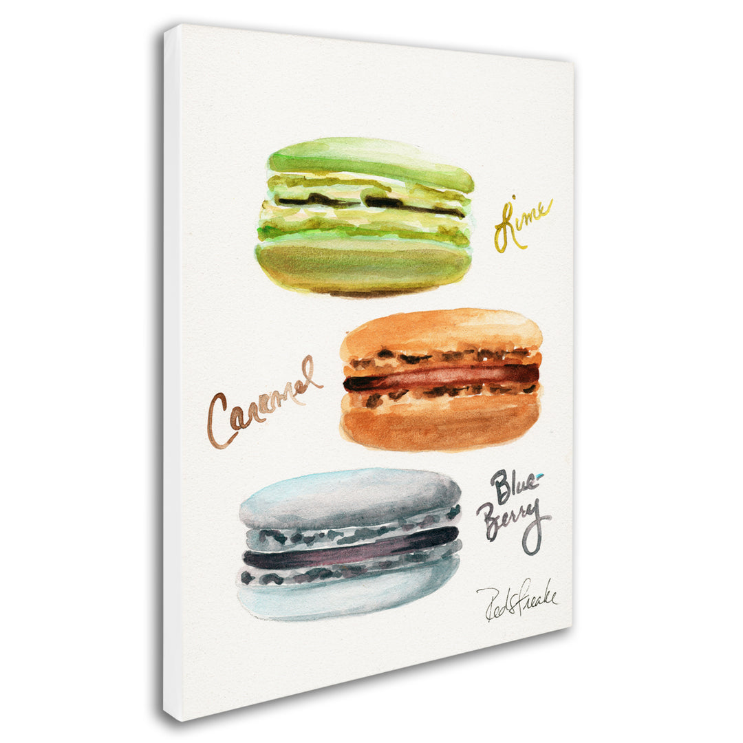 Jennifer Redstreake 3 Macarons with Words 14 x 19 Canvas Art Image 3