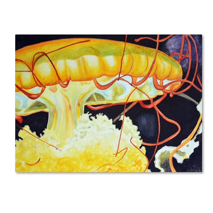 Jennifer Redstreake Chattanooga Jelly Fish 14 x 19 Canvas Art Image 1