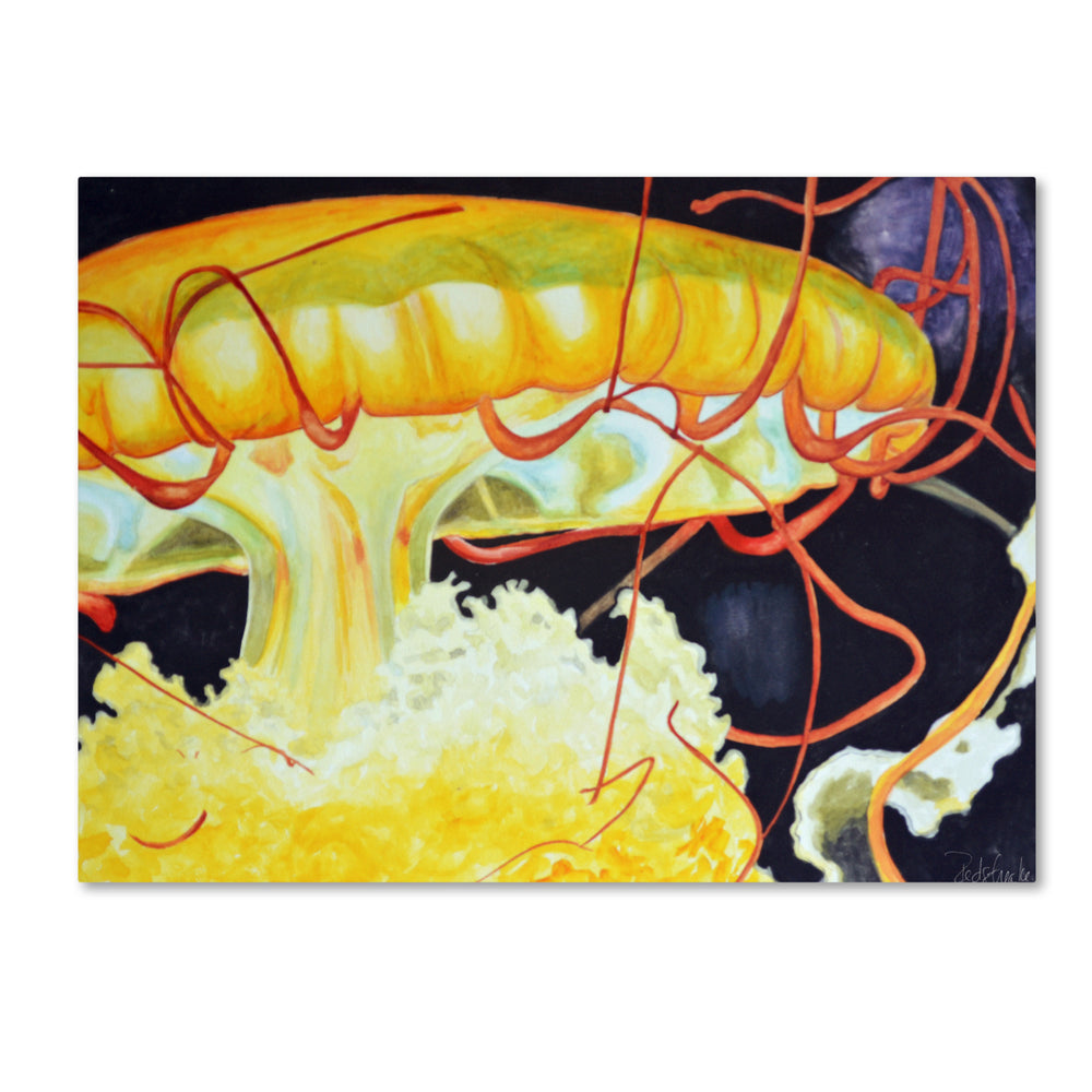 Jennifer Redstreake Chattanooga Jelly Fish 14 x 19 Canvas Art Image 2