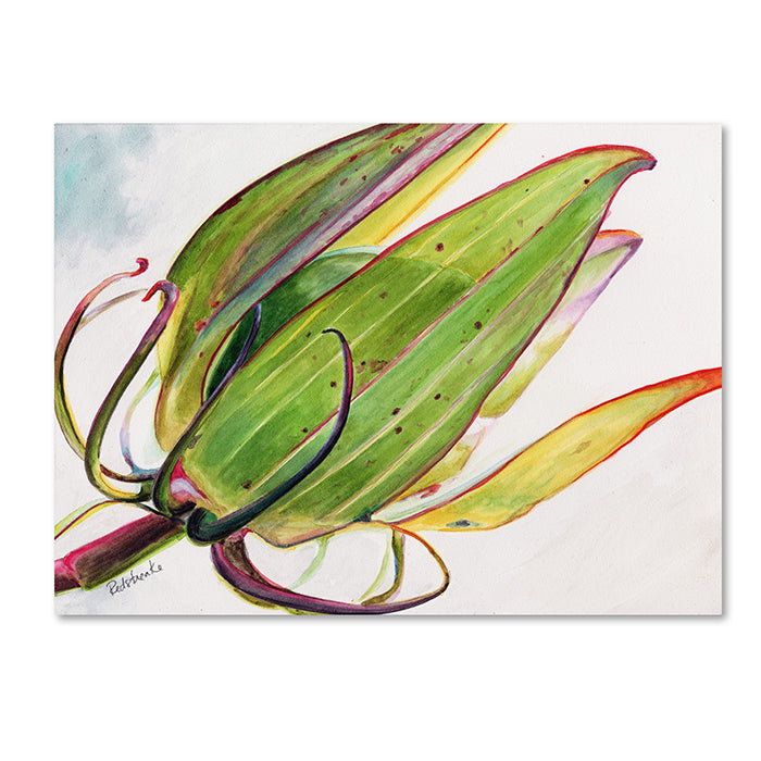 Jennifer Redstreake Flower Pod 14 x 19 Canvas Art Image 1