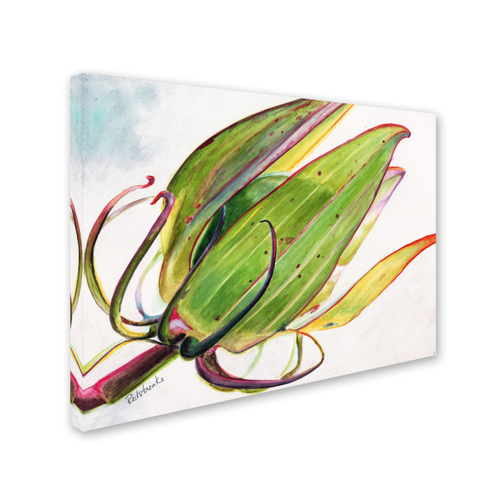 Jennifer Redstreake Flower Pod 14 x 19 Canvas Art Image 3