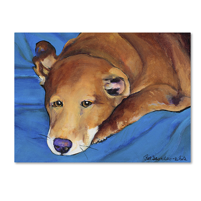 Pat Saunders-White Blue Blanket 14 x 19 Canvas Art Image 1