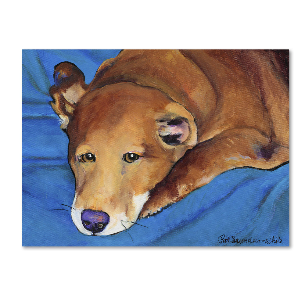 Pat Saunders-White Blue Blanket 14 x 19 Canvas Art Image 2