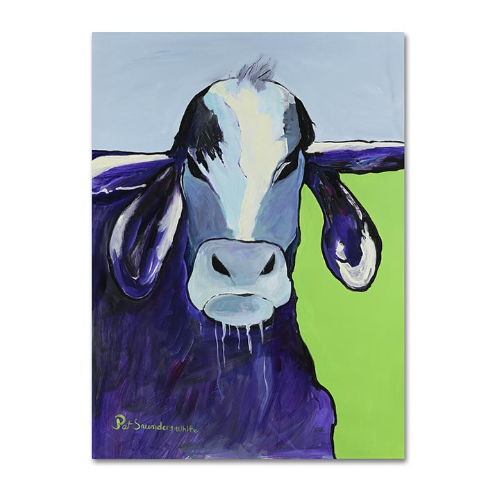 Pat Saunders-White Bull Drool 14 x 19 Canvas Art Image 1