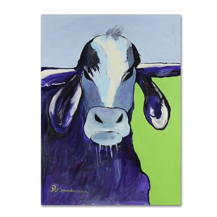 Pat Saunders-White Bull Drool 14 x 19 Canvas Art Image 2