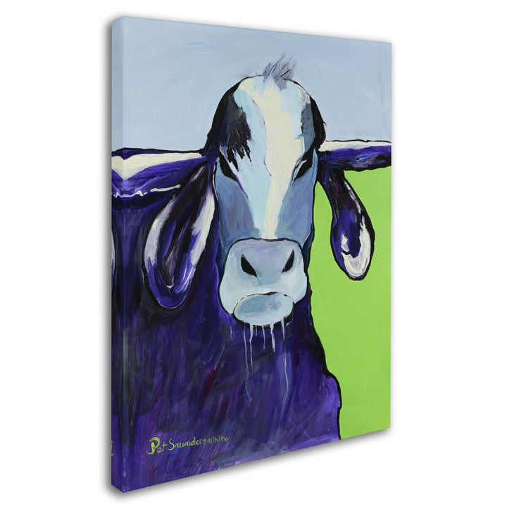 Pat Saunders-White Bull Drool 14 x 19 Canvas Art Image 3