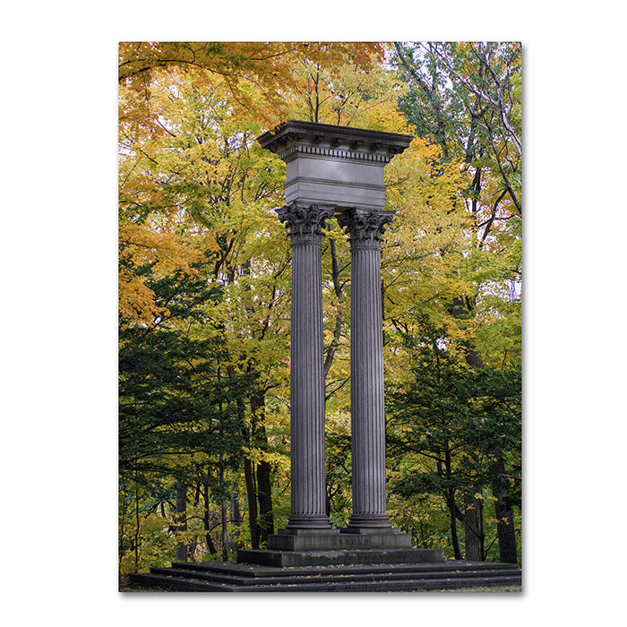 Kurt Shaffer Autumn Columns 14 x 19 Canvas Art Image 1