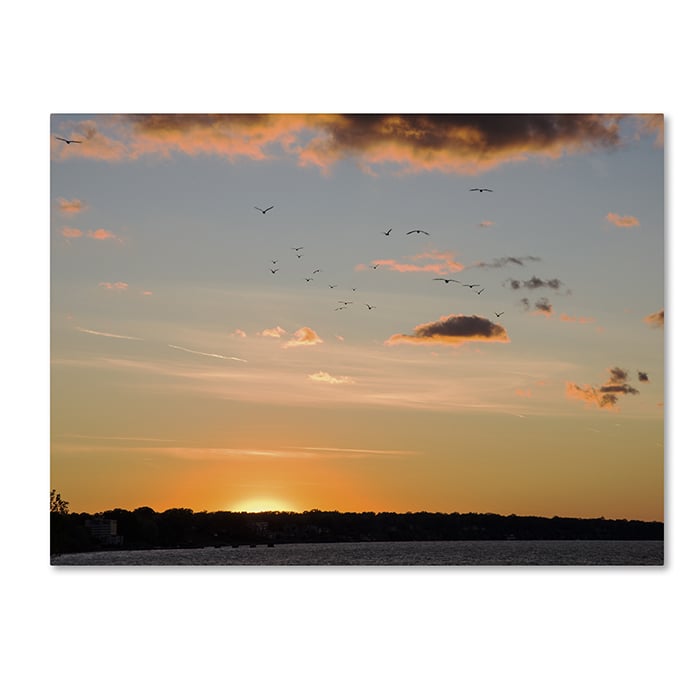 Kurt Shaffer Seagull Sunset 14 x 19 Canvas Art Image 1