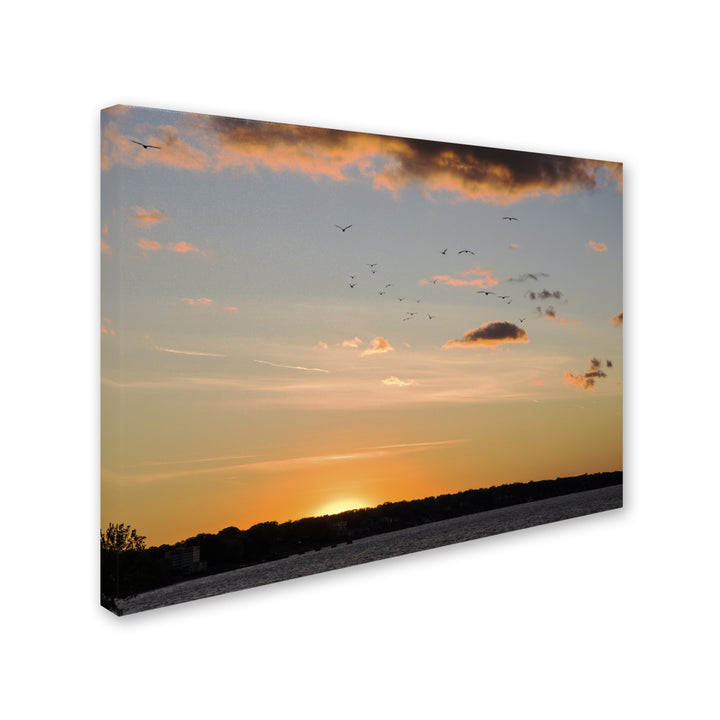 Kurt Shaffer Seagull Sunset 14 x 19 Canvas Art Image 3