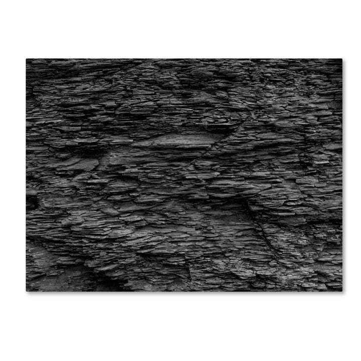 Kurt Shaffer Shale Abstract in Black and White 14 x 19 Canvas Art Image 2