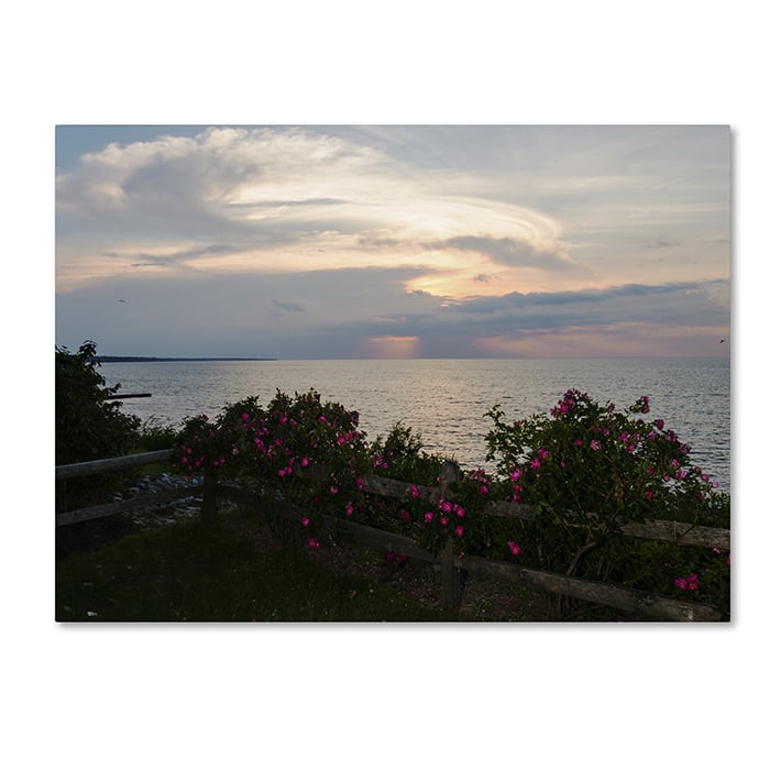 Kurt Shaffer Roses in Bloom Along the Lake 14 x 19 Canvas Art Image 1