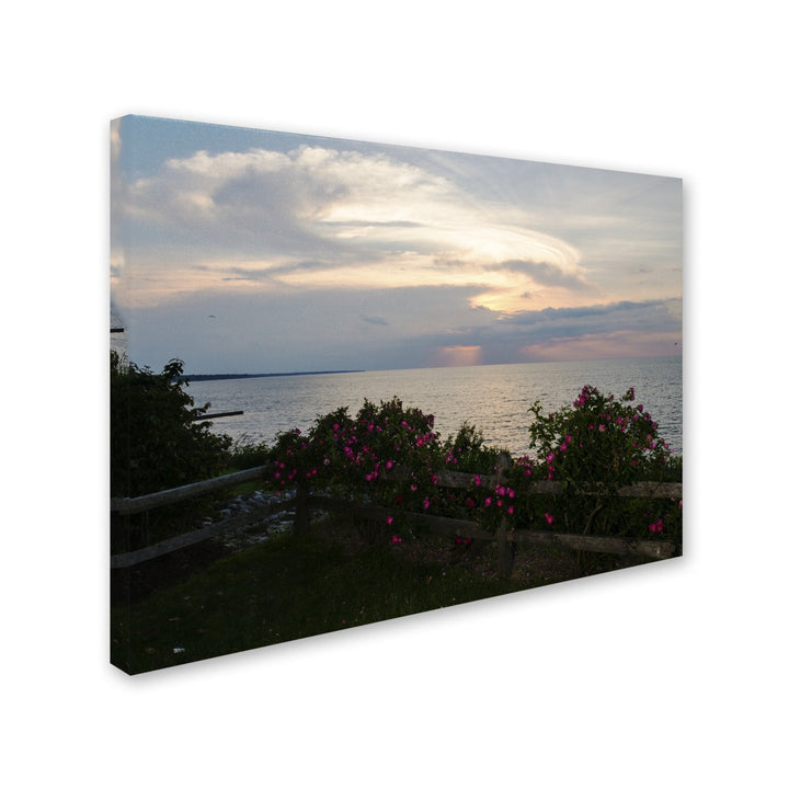 Kurt Shaffer Roses in Bloom Along the Lake 14 x 19 Canvas Art Image 3