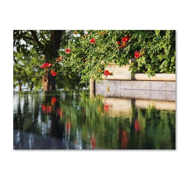 Kurt Shaffer Trumpet Vine by a Pool 14 x 19 Canvas Art Image 1