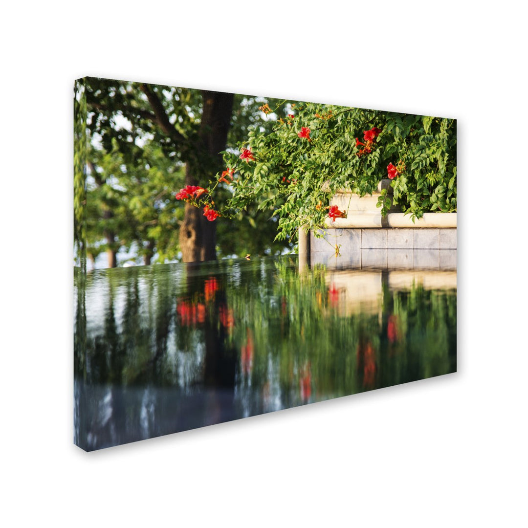 Kurt Shaffer Trumpet Vine by a Pool 14 x 19 Canvas Art Image 3