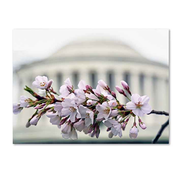 CATeyes Jefferson Memorial Blossoms 14 x 19 Canvas Art Image 1