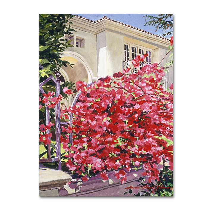 David Lloyd Glover Pink Bougainvillea Mansion 14 x 19 Canvas Art Image 1