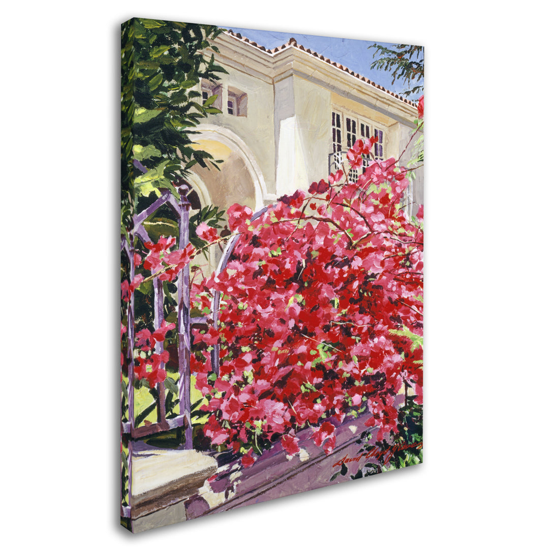 David Lloyd Glover Pink Bougainvillea Mansion 14 x 19 Canvas Art Image 3