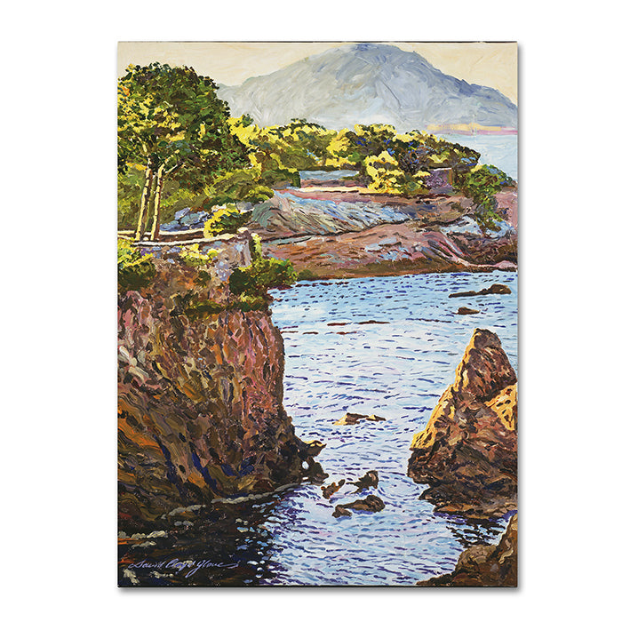 David Lloyd Glover Riviera Sea Cove 14 x 19 Canvas Art Image 1