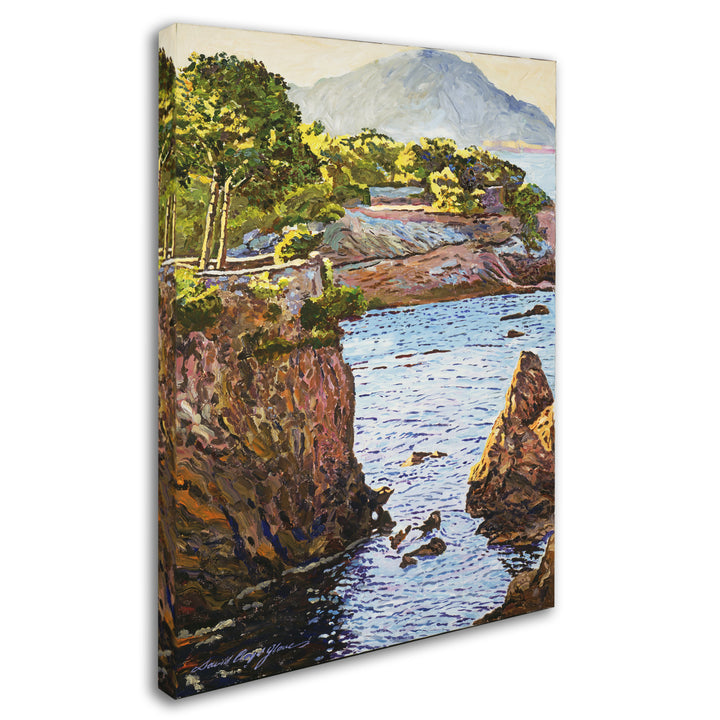 David Lloyd Glover Riviera Sea Cove 14 x 19 Canvas Art Image 3