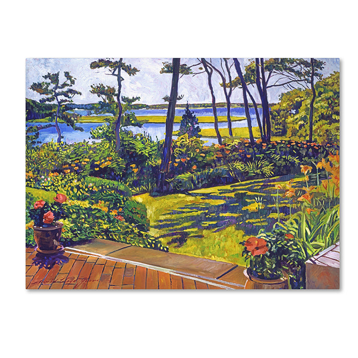 David Lloyd Glover Ocean Lagoon Garden 14 x 19 Canvas Art Image 1