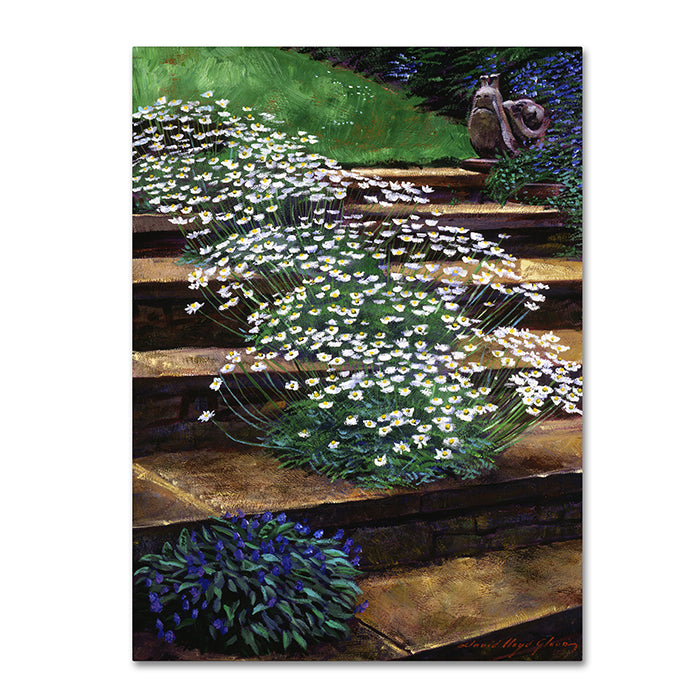 David Lloyd Glover Dainty Daisies 14 x 19 Canvas Art Image 1