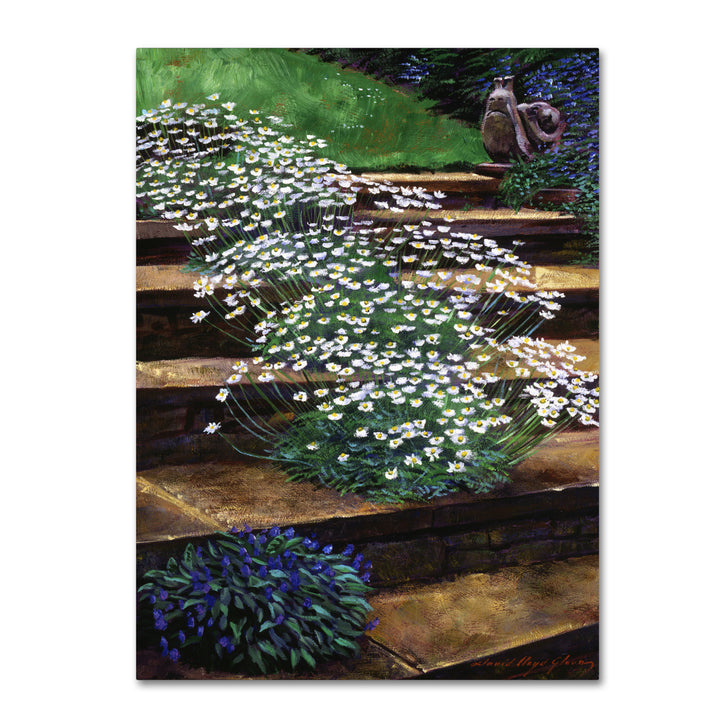 David Lloyd Glover Dainty Daisies 14 x 19 Canvas Art Image 2