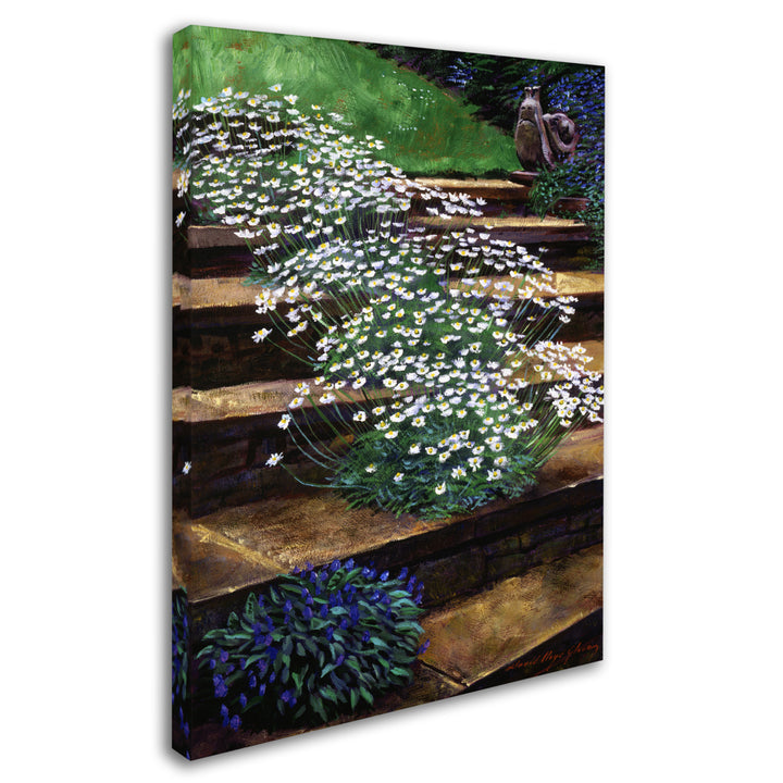 David Lloyd Glover Dainty Daisies 14 x 19 Canvas Art Image 3