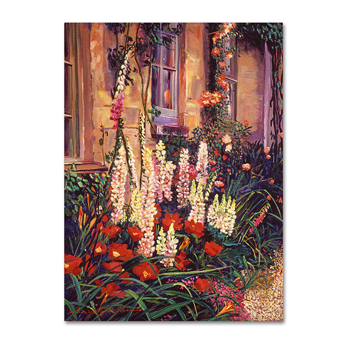 David Lloyd Glover English Cottage Garden 14 x 19 Canvas Art Image 1