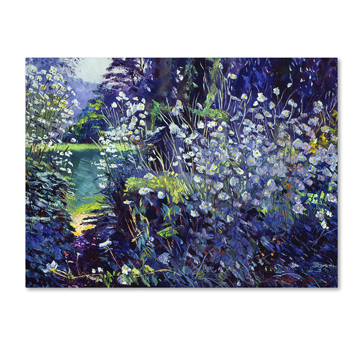 David Lloyd Glover Tangled White Flowers 14 x 19 Canvas Art Image 1