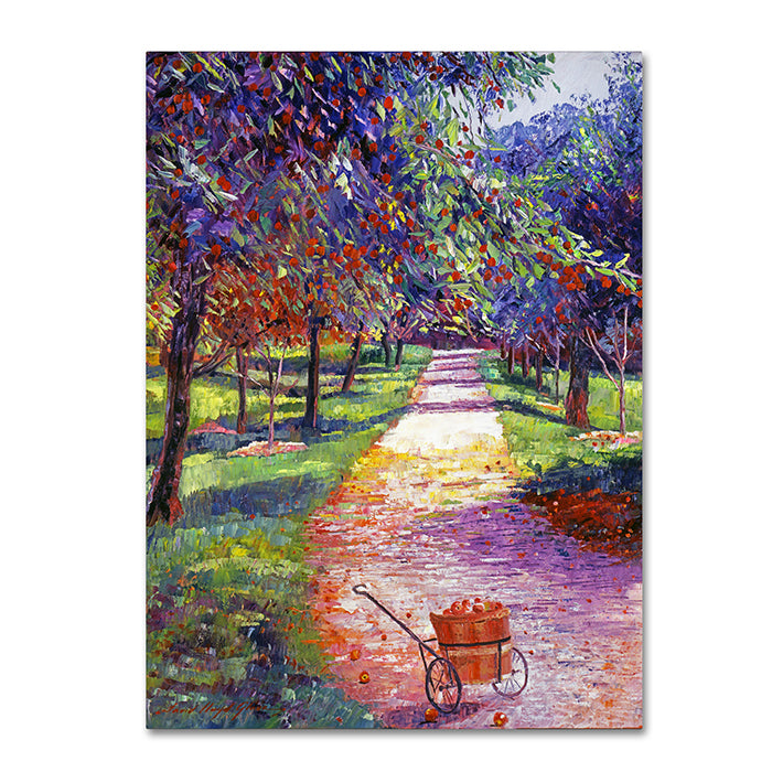 David Lloyd Glover French Apple Orchards 14 x 19 Canvas Art Image 1