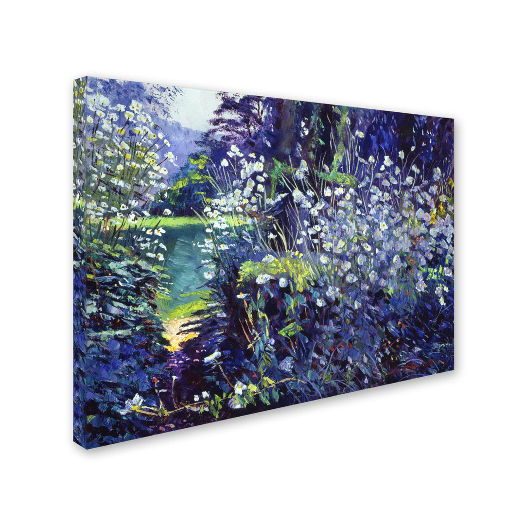 David Lloyd Glover Tangled White Flowers 14 x 19 Canvas Art Image 3