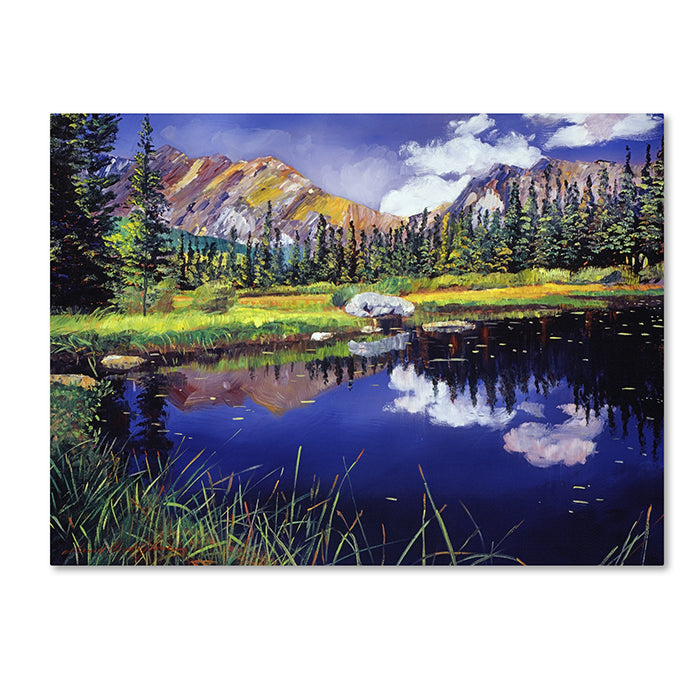 David Lloyd Glover Reflections in Solitude 14 x 19 Canvas Art Image 1