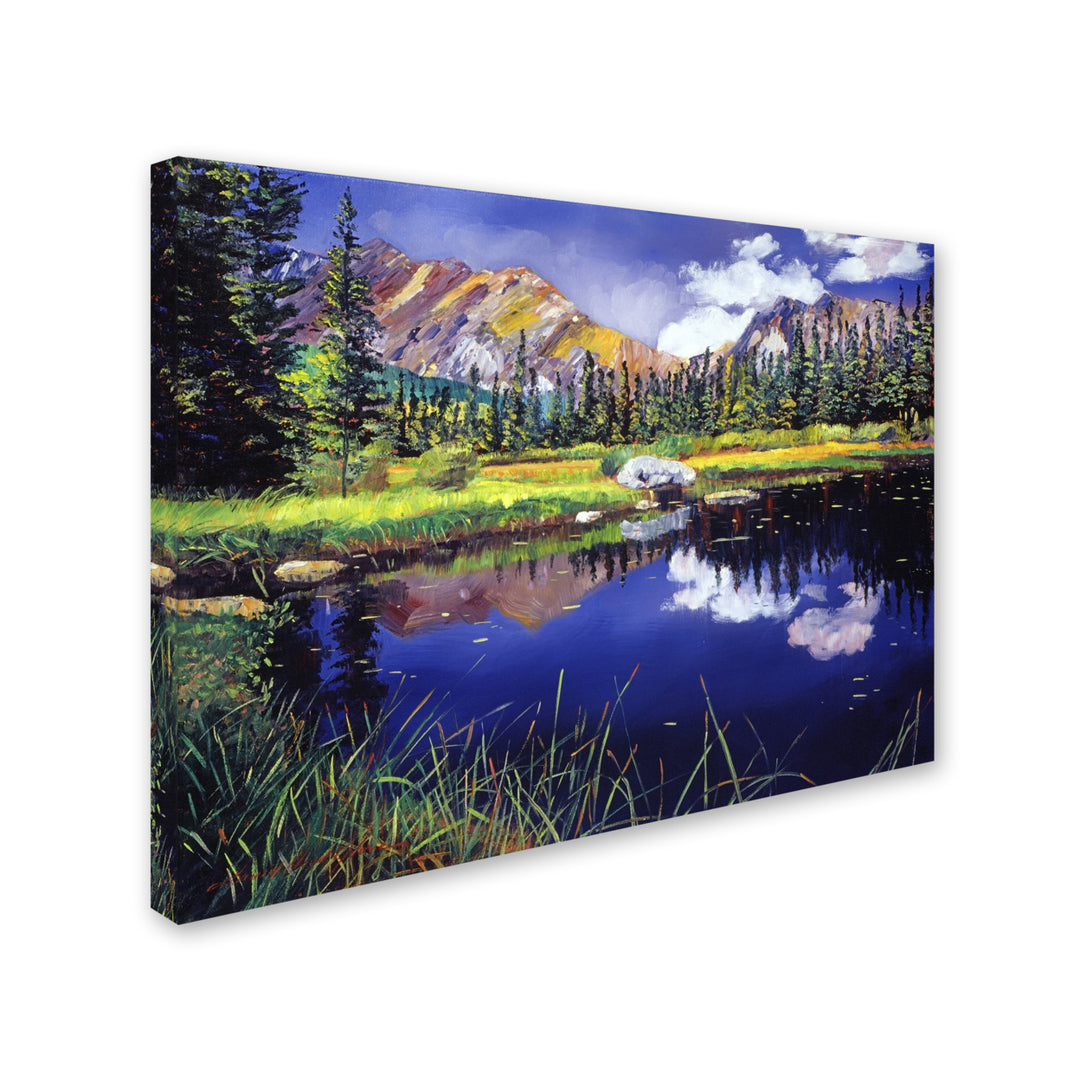 David Lloyd Glover Reflections in Solitude 14 x 19 Canvas Art Image 3