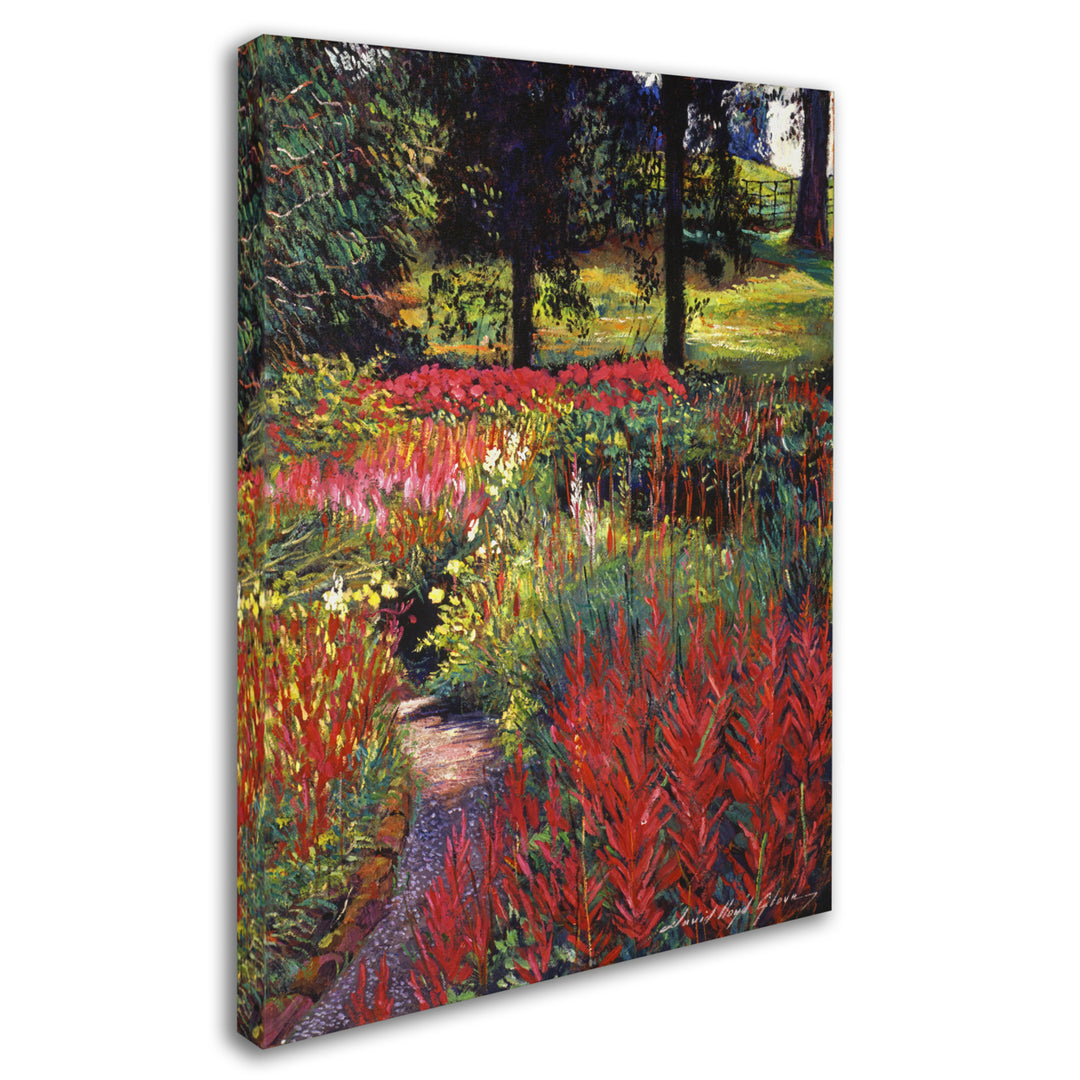 David Lloyd Glover Natures Dreamscape 14 x 19 Canvas Art Image 3