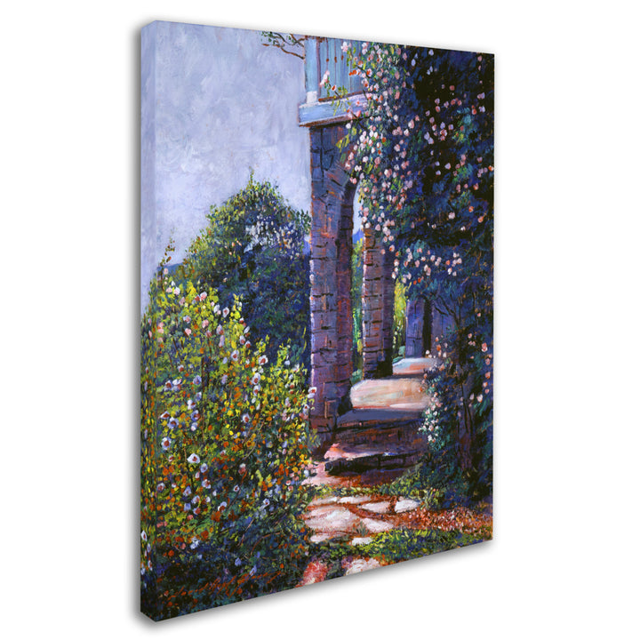 David Lloyd Glover Climbing Roses 14 x 19 Canvas Art Image 3