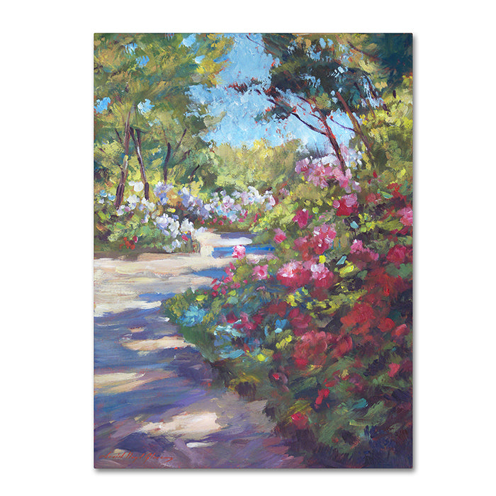 David Lloyd Glover Arboretum Garden Path 14 x 19 Canvas Art Image 1