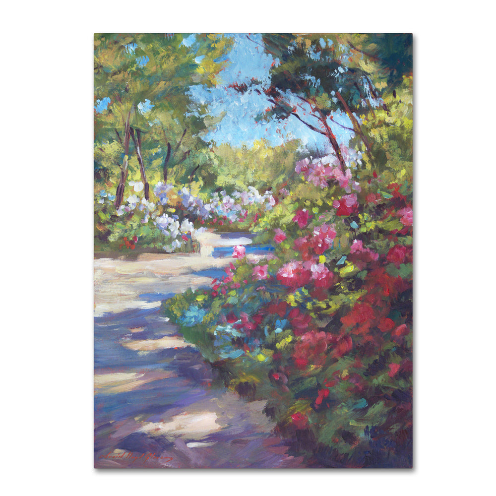 David Lloyd Glover Arboretum Garden Path 14 x 19 Canvas Art Image 2