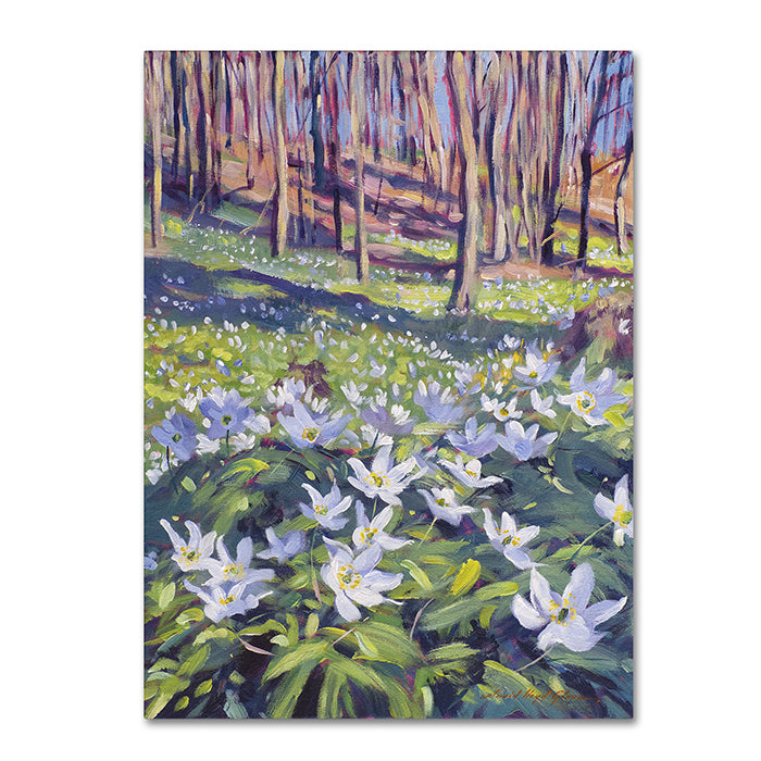 David Lloyd Glover Anemones in the Meadow 14 x 19 Canvas Art Image 1