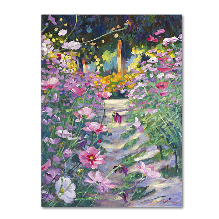 David Lloyd Glover Garden Path of Cosmos 14 x 19 Canvas Art Image 1