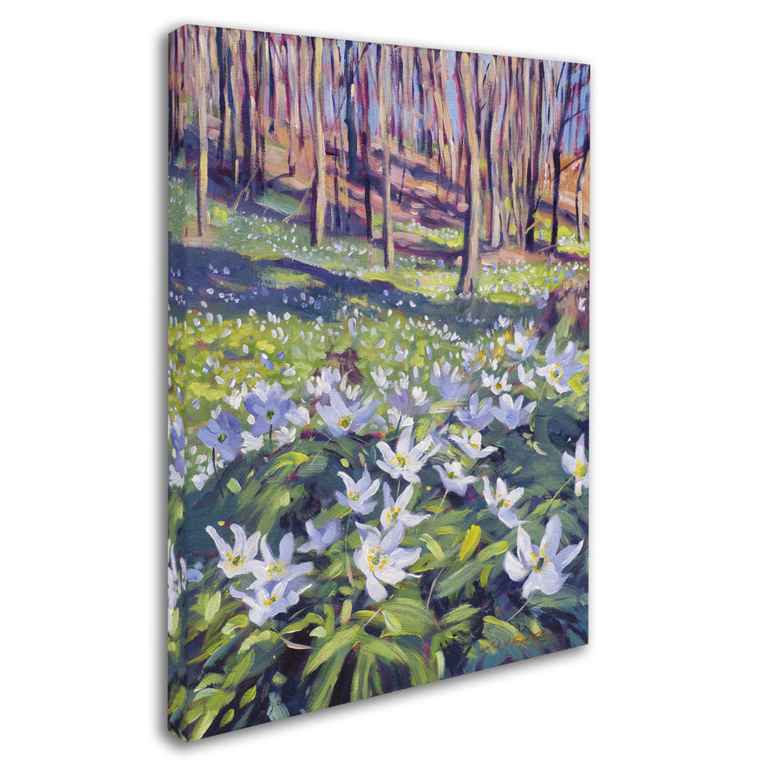 David Lloyd Glover Anemones in the Meadow 14 x 19 Canvas Art Image 3