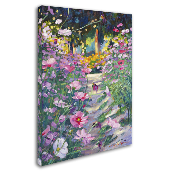 David Lloyd Glover Garden Path of Cosmos 14 x 19 Canvas Art Image 3