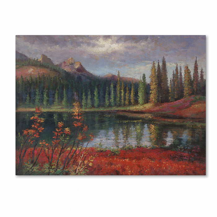 Daniel Moises Almost Winter 14 x 19 Canvas Art Image 1