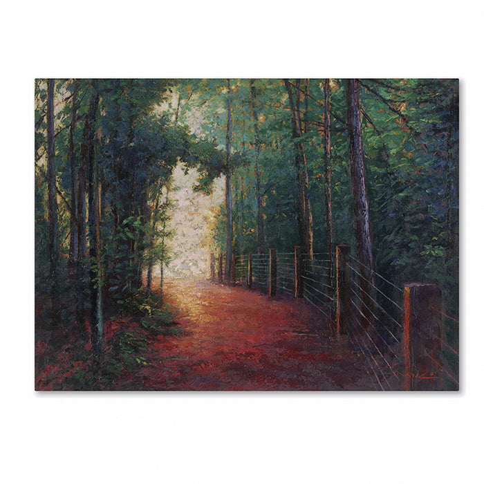 Daniel Moises Misty Trail 14 x 19 Canvas Art Image 1