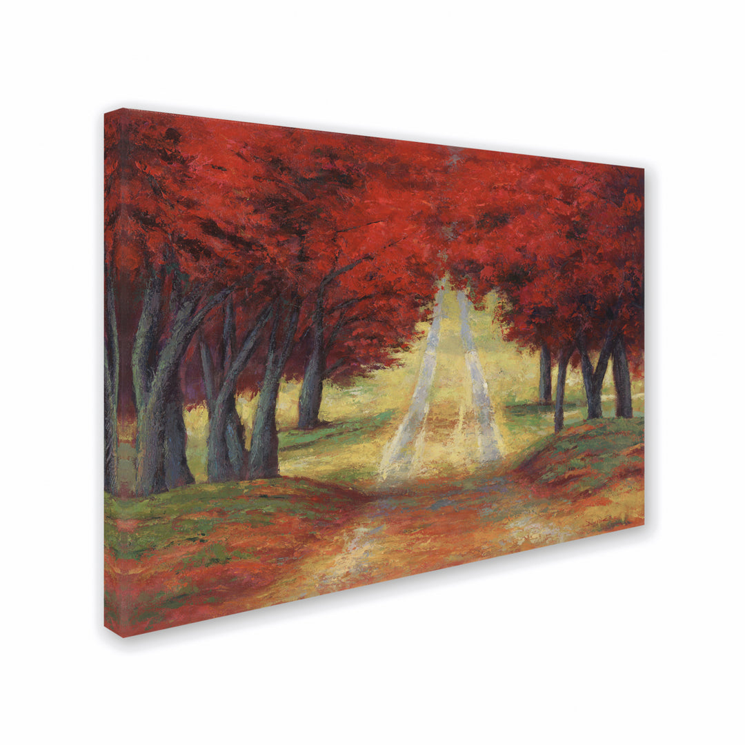 Daniel Moises Autumn Pathway 14 x 19 Canvas Art Image 3