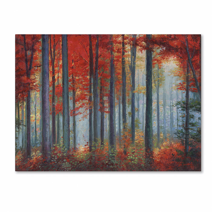 Daniel Moises Red Foreset 14 x 19 Canvas Art Image 1