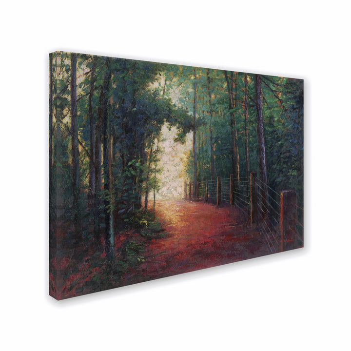 Daniel Moises Misty Trail 14 x 19 Canvas Art Image 3