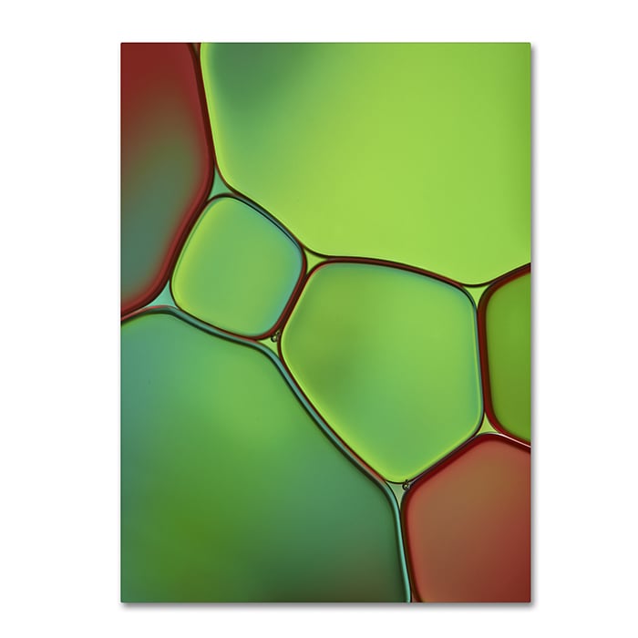 Cora Niele Stained Glass IV 14 x 19 Canvas Art Image 1